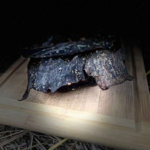 Lemon Pepper Beef Jerky
